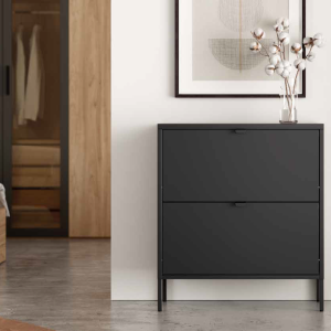 Zapatero Titania 2 Puertas